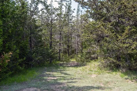 3249 Harmony Road Tyendinaga ON K0K 3A0