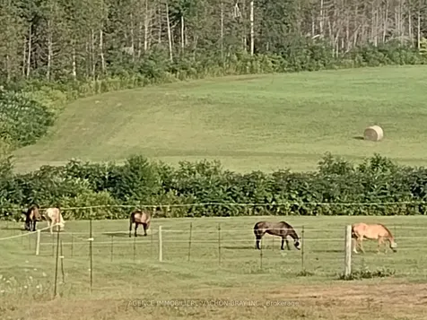 21237 Conc 6 Road N South Glengarry ON K0C 1Z0