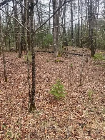 00 Landon Road Bancroft ON K0L 1C0