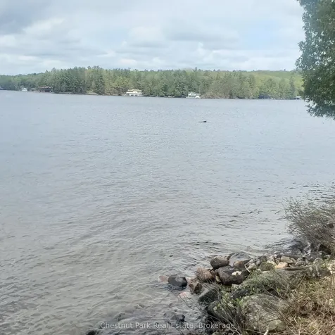 76 Tobin Island N/a Muskoka Lakes ON P0B 1J0