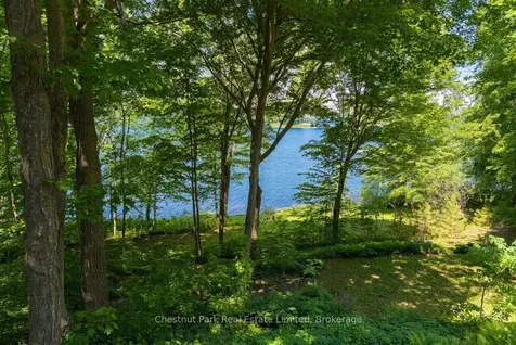 12154 Loyalist Parkway Prince Edward County ON K0K 2T0