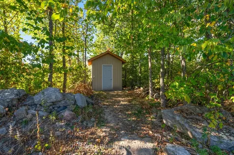 46 Mcguire Beach Road Kawartha Lakes ON K0M 2B0