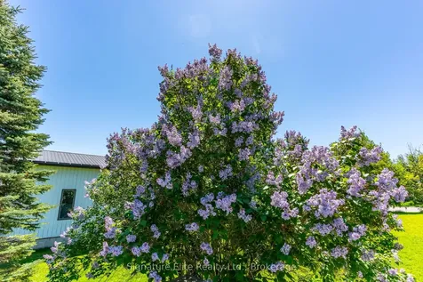 2328 Elm Tree Road Kawartha Lakes ON K0M 1E0