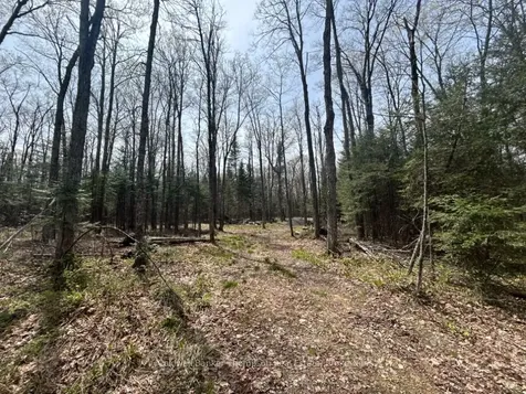 0 Ely Side Road Armour ON P0A 1C0