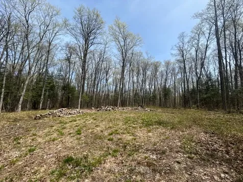 0 Ely Side Road Armour ON P0A 1C0