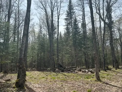 0 Ely Side Road Armour ON P0A 1C0