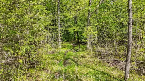 Pt Lt 10 Bush Road Rideau Lakes ON K0G 1E0