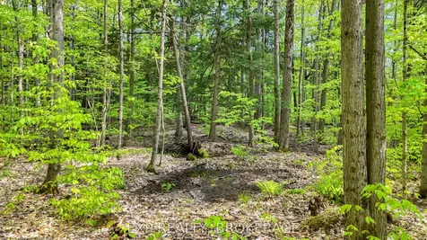 Pt Lt 10 Bush Road Rideau Lakes ON K0G 1E0