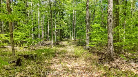 Pt Lt 10 Bush Road Rideau Lakes ON K0G 1E0