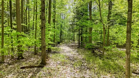Pt Lt 10 Bush Road Rideau Lakes ON K0G 1E0