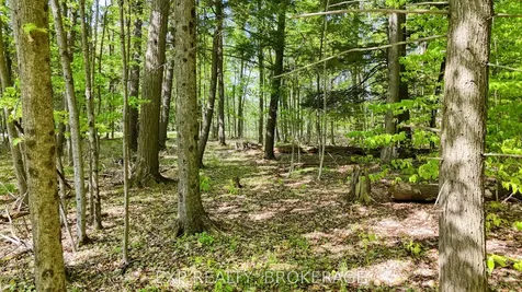 Pt Lt 10 Bush Road Rideau Lakes ON K0G 1E0