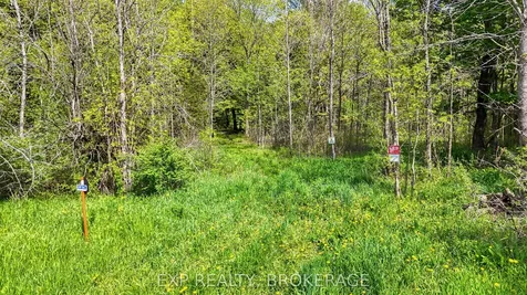 Pt Lt 10 Bush Road Rideau Lakes ON K0G 1E0