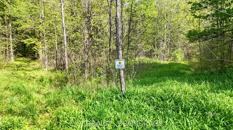 Pt Lt 10 Bush Road Rideau Lakes ON K0G 1E0