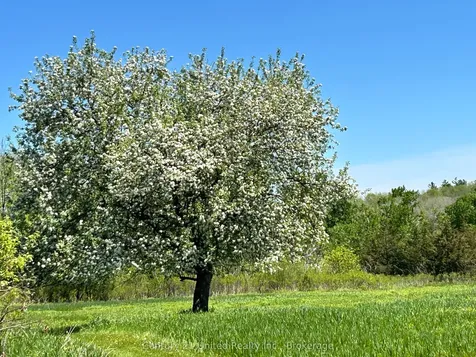 327 Concession Road 6 N/a E Trent Hills ON K0K 3K0