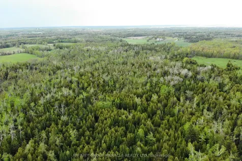 19 Patterson Road Kawartha Lakes ON K0M 1N0