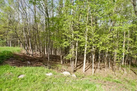 1021 Touchwood Trail Minden Hills ON K0M 2K0