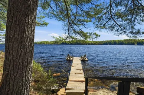 4217 Buckshot Lake Road Addington Highlands ON K0H 2M0