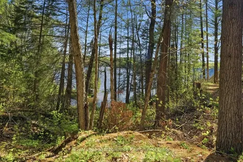 4217 Buckshot Lake Road Addington Highlands ON K0H 2M0