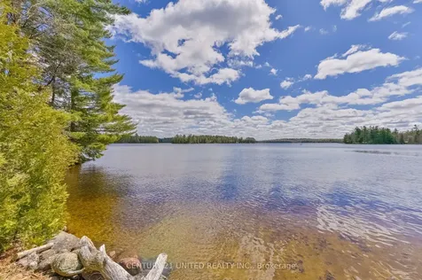 3632 County Road 507 N/a Trent Lakes ON K0L 1J0