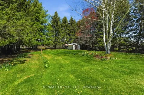 45 Shannon Road Prince Edward County ON K0K 1G0