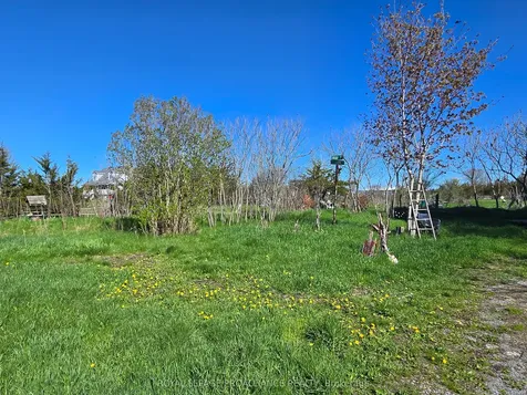 3161 Blessington Road Tyendinaga ON K0K 3A0