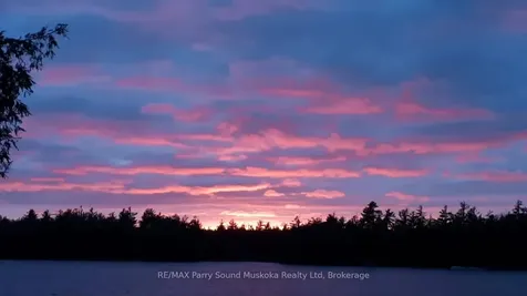 397 Healey Lake Water N/a The Archipelago ON P0C 1H0
