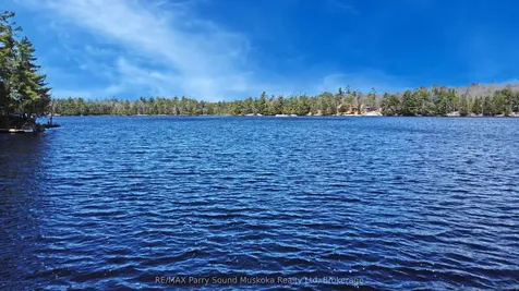 397 Healey Lake Water N/a The Archipelago ON P0C 1H0