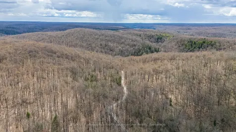 1591 Irondale Road Highlands East ON K0M 1X0