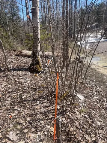 195 Duck Creek Road West Nipissing ON P0H 1R0