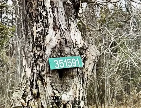 351591 17th Line East Garafraxa ON L9W 7E1