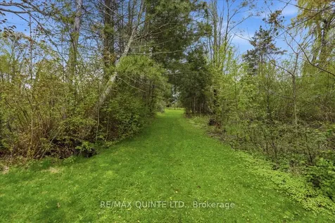 1242 County Road 12 N/a Prince Edward County ON K0K 2T0