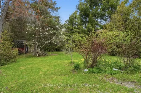 1242 County Road 12 N/a Prince Edward County ON K0K 2T0