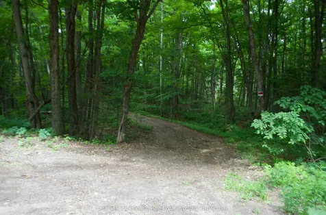 Lot 10 Loon Lake Road S Dysart Et Al ON K0M 1S0