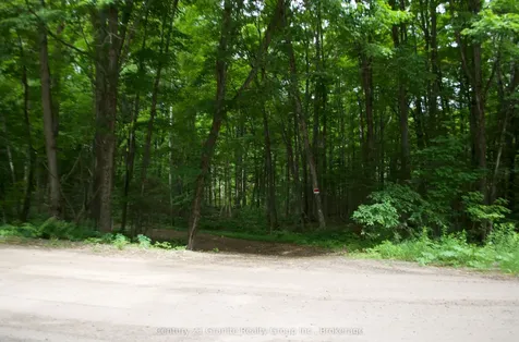 Lot 10 Loon Lake Road S Dysart Et Al ON K0M 1S0