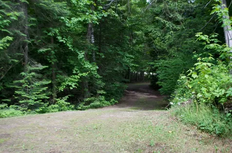 Lot 10 Loon Lake Road S Dysart Et Al ON K0M 1S0