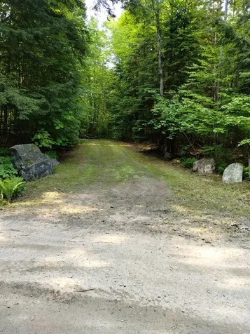 Lot 10 Loon Lake Road S Dysart Et Al ON K0M 1S0