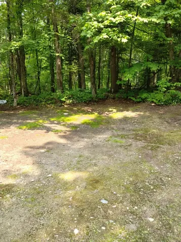 Lot 10 Loon Lake Road S Dysart Et Al ON K0M 1S0