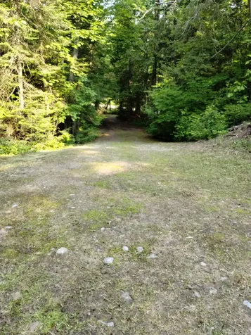 Lot 10 Loon Lake Road S Dysart Et Al ON K0M 1S0