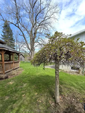 681 Wheeler Street Huron-kinloss ON N0G 2H0