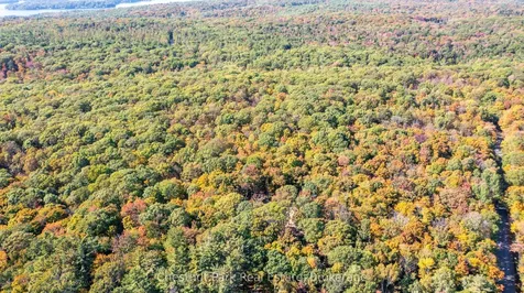 0 Rostrevor Road Muskoka Lakes ON P0B 1M0
