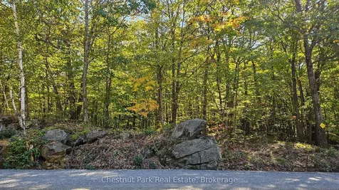 0 Rostrevor Road Muskoka Lakes ON P0B 1M0