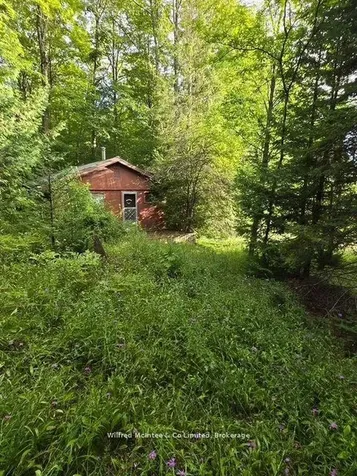 581650 9a Side Road Chatsworth ON N0H 1K0