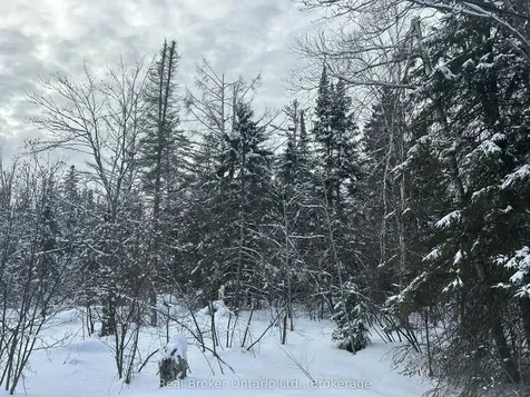 Point Lt 16 Barkway Road Gravenhurst ON P1P 1R3