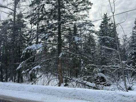 Point Lt 16 Barkway Road Gravenhurst ON P1P 1R3