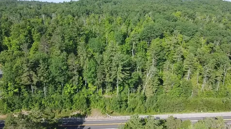 0000 Highway 41 Highway Addington Highlands ON K0H 1K0