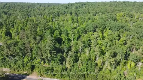 0000 Highway 41 Highway Addington Highlands ON K0H 1K0