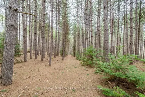 1738 B Line Road SW Laurentian Valley ON K8A 6W8