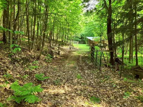 1386 South Portage Road Lake Of Bays ON P1H 2J6