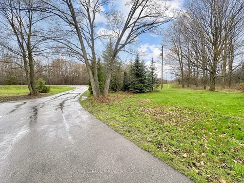 19656 Loyalist Parkway Prince Edward County ON K0K 1T0