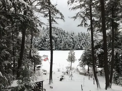 1139 Basshaunt Lake Road Dysart Et Al ON K0M 1M0